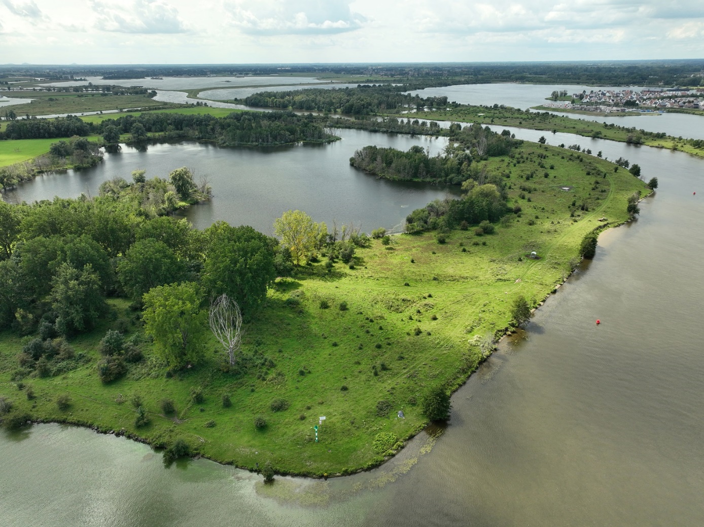 Foto van de Oever Brandt-Visvijver waar de geul Brandt wordt omringt met de groene oever wat grenst rechts aan water.